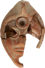 Progetto Archeologico Alberese